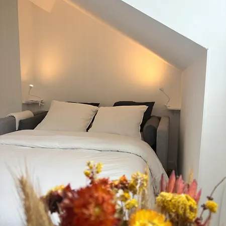 Le Coeur Des Alpes Appartement Grenoble