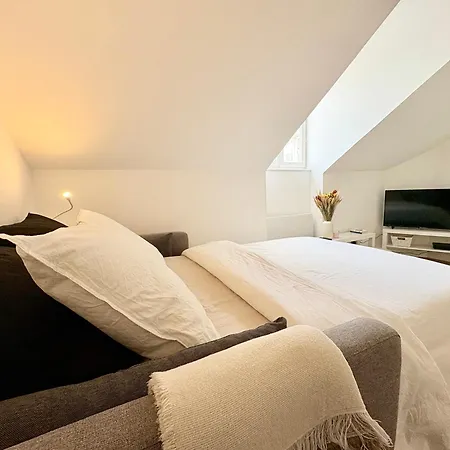 Le Coeur Des Alpes Appartement Grenoble