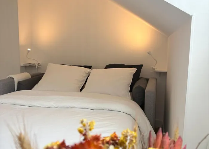 Le Coeur Des Alpes Apartment Grenoble