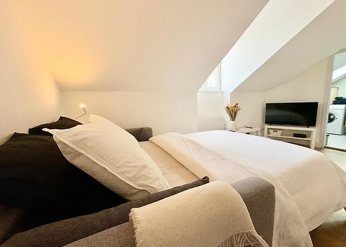 Le Coeur Des Alpes Apartment Grenoble